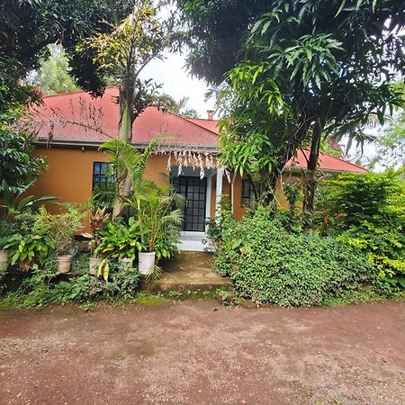 Mama Aziz Homestay Arusha Ngoại thất bức ảnh