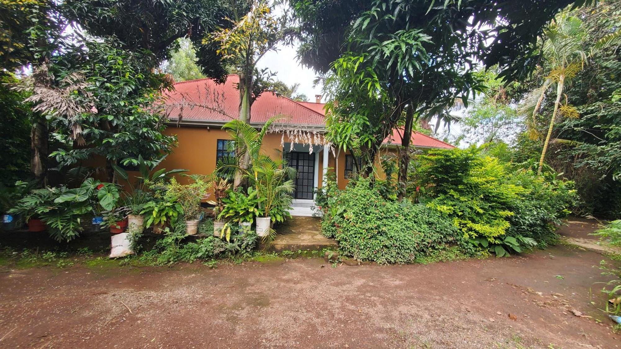 Mama Aziz Homestay Arusha Ngoại thất bức ảnh